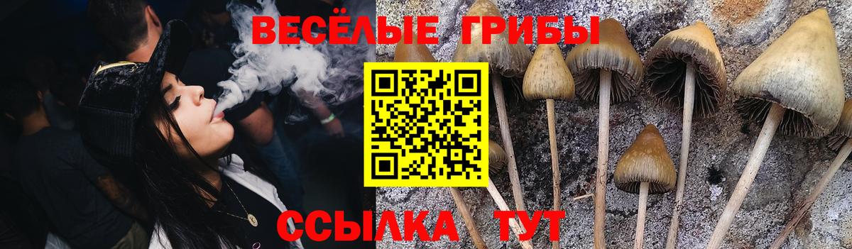 Белорецк  Псилоцибиновые грибы GOLDEN TEACHER  Вход с VPN 